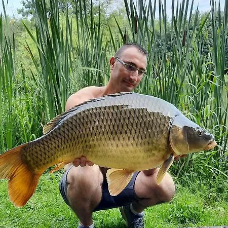 Les Etangs Du Moulin D'harcy 3* Lonny